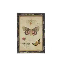 Framed Butterfly Wall Art, Butterflies Classroom, Framed Butterfly, Spring Wall Decor, Rustic Pictures, Painting Frame, Butterfly Illustration, Butterfly Wall Decor, Dream Wall