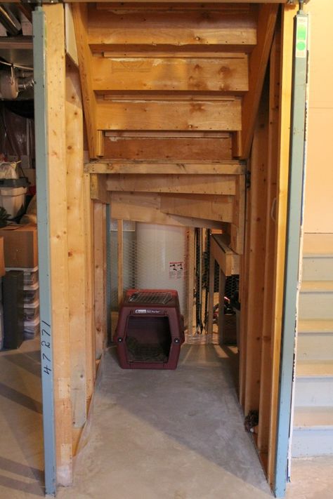 Under Stair Basement Storage, Space Under Basement Stairs Ideas, Finish Under Stairs, Under Basement Stairs Storage Ideas, Under Steps Storage Basements, Basement Bathroom Under Stairs, Storage Under Basement Stairs, Under Stairs Storage Basement, Basement Layout Ideas Floor Plans Design