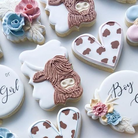 Highland Cow Gender Reveal Ideas, Highland Cow Cookies, Gender Reveal Dessert, Cow Cookies, Gender Reveal Cookies, Buck And Doe, Baby Gender Reveal Party, Baby Gender Reveal, Reveal Ideas