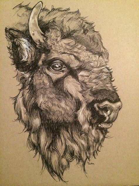 Buffalo Head Drawing, Buffalo Pictures, Bison Tattoo, Buffalo Tattoo, Bison Head, Etching Art, Buffalo Painting, Buffalo Animal, Buffalo Head