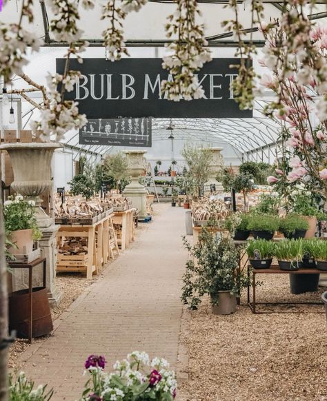 Garden Centre Aesthetic, Garden Boutique, Plant Shed, Florist Business, Lavender Nursery, Flower Farms, Flower Shop Interiors, Plants Nursery, Commercial Greenhouse