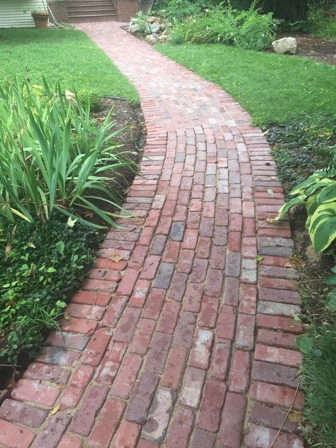 Brick walkway from reclaimed bricks. Exterior Updates, Brick Sidewalk, Brick Pathway, Backyard Walkway, Walkway Landscaping, Walkway Design, Brick Path, Brick Walkway, Recycled Brick