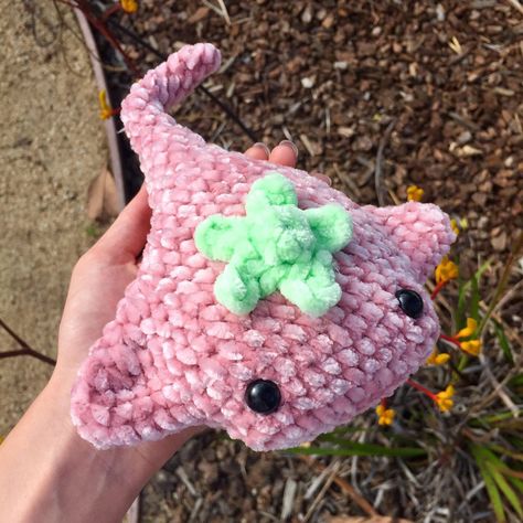 Crochet Pancake Stingray, Amigurumi Stingray Free Pattern, Crochet Pink Plushies, Crochet Stingray, Easy Crochet Animals, Crochet Strawberry, Crochet Fruit, Plushie Patterns, Kawaii Crochet