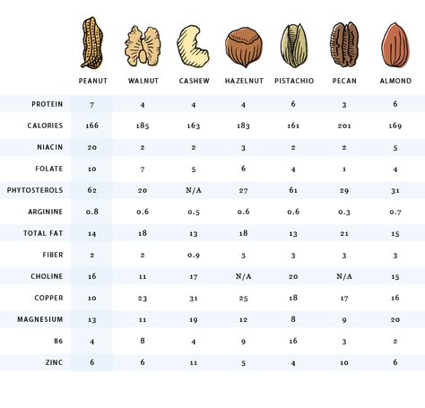 Nuts nutrition nut comparison - Vegan Family Recipes Nutrition Infographic, Protein Balls Recipes, Nutrition Logo, Gym Nutrition, Gluten Free Protein, Nutrition Activities, Nutrition Chart, Nutrition Quotes, Nutrition Month