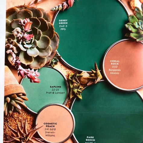 I’m digging this color scheme! It just needs a dash of gold, I think. What do you think about dark green and peachy coral? #sherwinwilliams #colorexpert @betterhomesandgardens Peach Living Rooms, Coral Living Rooms, Coral Kitchen, Peach Rooms, Peach Bedroom, Sage Bedroom, Coral Bathroom, Coral Colour Palette, Peach Bathroom