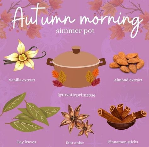 Autumnal Equinox Celebration, Pot Simmer, Simmer Pots, Homemade Potpourri, Simmer Pot Recipes, Kitchen Witch Recipes, Potpourri Recipes, Simmer Pot, Essential Oil Diffuser Blends Recipes