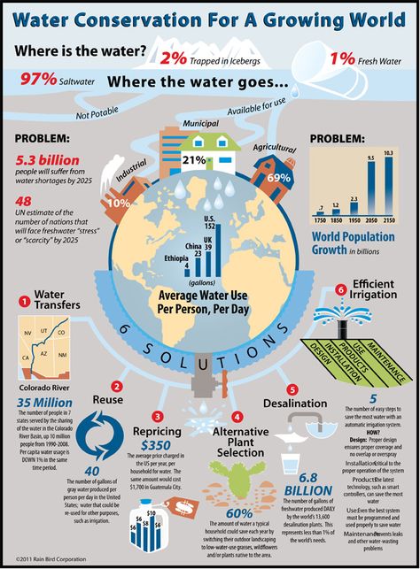 Good information on water shortages and solutions. Not exactly a kayaking pin, but kayakers do need healthy lakes, rivers, coasts and wetlands. Water Sustainability, Smart Study, Rain Bird, Water Scarcity, Water Poster, Water Pollution, World Water, Water Cycle, Environmental Education