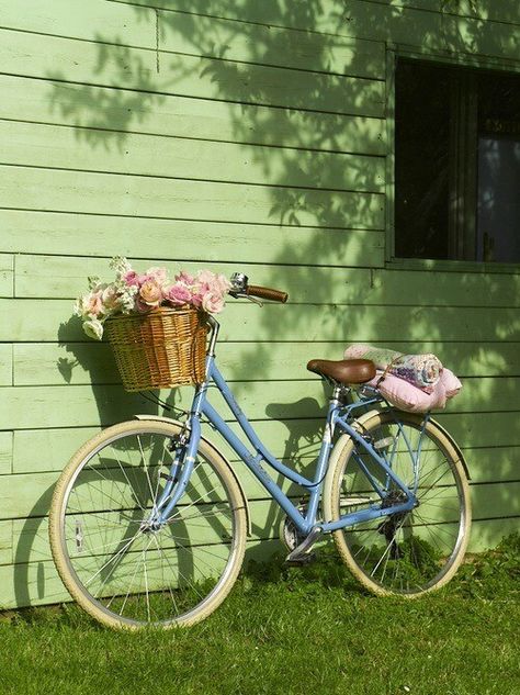 Bike Pretty Bicycle, Basket Full Of Flowers, Blue Bicycle, Bike With Basket, Velo Vintage, Foto Transfer, Bicycle Basket, Retro Bike, Pretty Bike