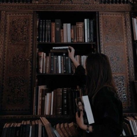 Book Shelf, Dark Academia, A Book, A Woman, Books