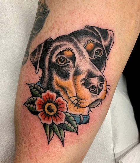 Traditional Rottweiler Tattoo, American Traditional Pet Portrait, American Traditional Dog Portrait, Traditional Pet Portrait Tattoo, Traditional Style Dog Tattoo, Dog American Traditional Tattoo, Traditional Tattoos Dog, Trad Dog Tattoo, Velma Tattoo