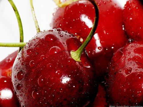 Gotta have some cherries!! Via Ledisse Matamoros - Rose often has hints of cherry Simply Red, Fresh Cherries, Water Droplets, Root Chakra, Red Berries, Fruits And Veggies, Cherry Red, Shades Of Red, Fruits And Vegetables