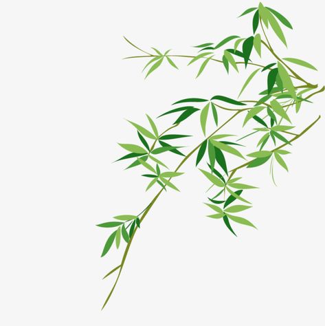 Bamboo Leaf Drawing, Bamboo Leaf Illustration, Bamboo Vector, Page Background Design, Cny 2024, Cartoon Leaf, Leaf Png, Plant Cartoon, Bamboo Grass