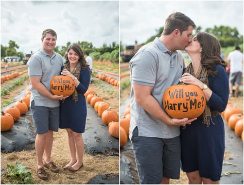 Surprise Pumpkin Patch Proposal Engagement Session Photos by Dana Lynn Photography Pumpkin Proposal Ideas, Proposal Ideas Pumpkin Patch, Pumpkin Patch Proposal Ideas, Pumpkin Patch Proposal, Pumpkin Patch Engagement Photos, Pumpkin Proposal, Pumpkin Patch Wedding, Pumpkin Patch Engagement, Fall Proposal Ideas