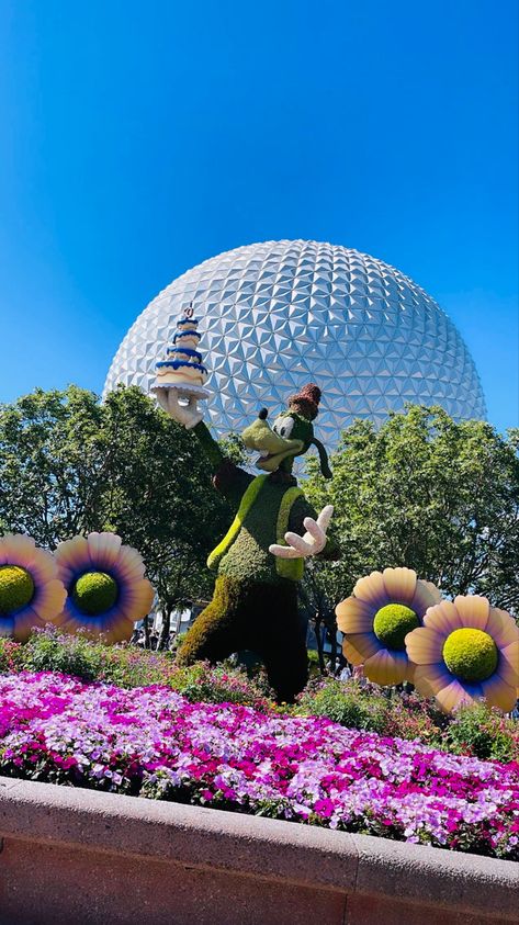 Flower & Garden Festival | Disneyworld | Epcot | WDW | Goofy | Orlando | Disney | Magic Disneyworld Epcot, Orlando Disney, Magical Decor, Disney World Epcot, Garden Festival, Disney World Resorts, Disney Magic, Disney Trips, Walt Disney World