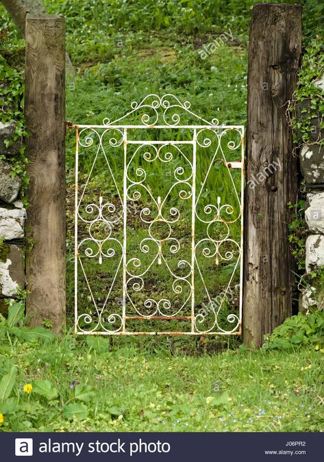 Old, white painted, ornate, wrought iron garden gate with swirls Stock Photo, Royalty Free Image: 137832550 - Alamy Old Garden Gates, Wrought Iron Garden Gates, Old Gates, Metal Garden Gates, Iron Garden Gates, Garden Gate Design, Wrought Iron Gate, Chicken Garden, Victorian Garden