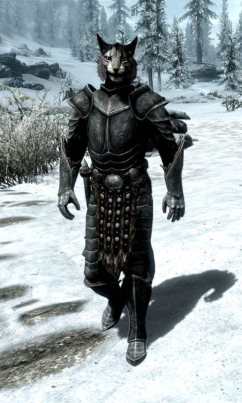 Kharjo is a Khajiit warrior found traveling alongside Ahkari. He, along with Dro'marash, works as a guard protecting Ahkari and Zaynabi. As a member of the Khajiit Caravans, Kharjo travels the many trade routes of Skyrim. When dismissed from being a follower by the Dragonborn, he returns to the caravans. The caravan travels between Dawnstar and Riften, sometimes passing through the Labyrinthian. Waiting outside the gates of a city prompts them to appear at least once a week. Skyrim Painting, Skyrim Nord, Skyrim Khajiit, Skyrim Races, Skyrim Mage, Dnd Tabaxi, Dragonborn Skyrim, Skyrim Oc, Skyrim Armor