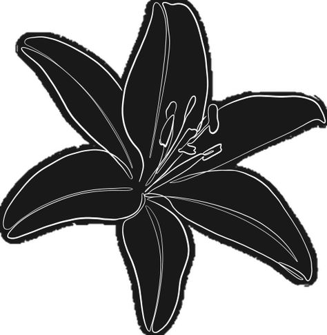 Lily Flower Line Art, Lily Silhouette, Flower Line Art, Lily Flower, Line Art, Independent Artist, Lily, Created By, T Shirts