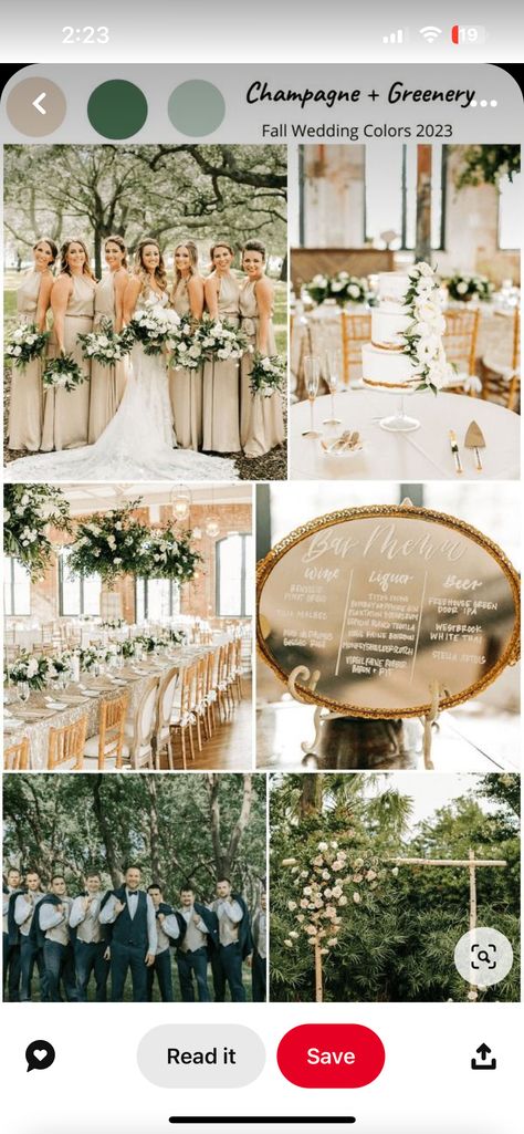 Sage Green Champagne Gold Wedding, Champagne Sage Green Black Wedding, Champagne And Greenery Wedding Theme, White Tan Green Wedding, Sage Ivory Champagne Wedding, Wedding Green Champagne, Deep Green And Champagne Wedding, Sage Green Champagne Blush Wedding, Gold Wedding Color Palette