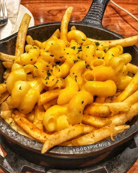 FOODIIIES FAMMM 🤑 on Instagram: “Good Ol’ MAC N CHEESE 🧀❤️ House fries topped with classic cheesy macaroni and cheddar. . 📍: The Irish house, Connaught place, New delhi…” Mac And Cheese Fries, Fancy Mac And Cheese, Cheese House, Cheesy Fries, Cheesy Macaroni, Irish Houses, Baked Mac, Connaught Place, Cheese Fries