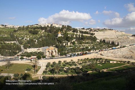 Jersualem, Mount of Olives. as we wait for the return of messiah on the mount of olives Liturgical Year, Mount Of Olives, Bible Reading, Interesting Places, Pictures Of People, Bible Studies, Virtual Tours, Holy Land, Read Bible