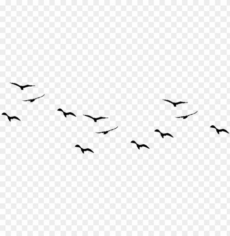 Thumbnail Editing Png, Stars Png For Editing, Background Effect Png, Birds Png For Editing, Background Design Vector Png, Birds Flying Png, Birds Template, Birds Flying In The Sky, Png For Editing