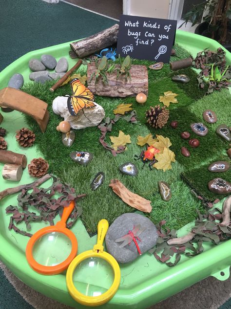 Insect Small World Play, Small World Play Ideas Natural Materials, Minibeasts Preschool Activities, Minibeast Tuff Tray Eyfs, Spring Theme Tuff Tray, Forest Provocation, Spring Provocations For Kindergarten, Bugs Tuff Tray, Spring Nursery Activities