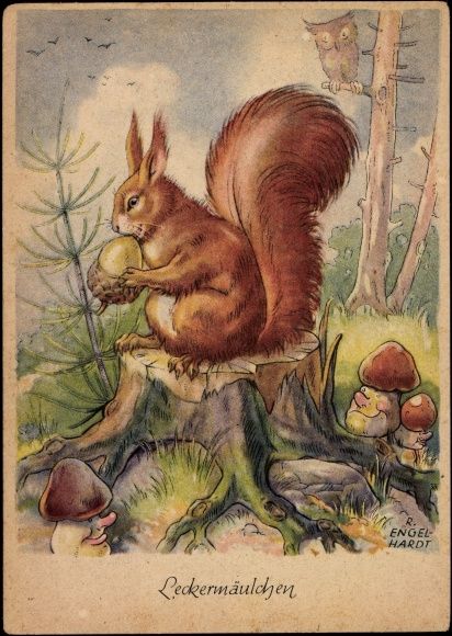 Pictures Of Squirrels, Gray Rabbit, Squirrel Illustration, Vintage Squirrel, Diy Lantern, Squirrel Pictures, Amanita Muscaria, Fly Agaric, Autumnal Equinox