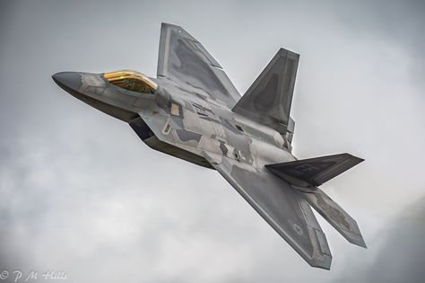 F 22 Raptor, Stealth Aircraft, Rubber Raincoats, F22 Raptor, Trans People, Air Fighter, Forza Horizon, Jet Aircraft, United States Air Force