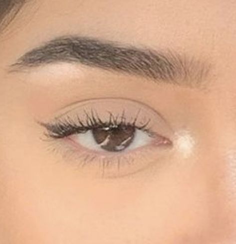 Soft Black Eyeliner, Soft Brown Eyeliner Natural, Small Eyeliner Makeup, Small Eyeliner Hooded Eyes, Natural Makeup For Almond Eyes, Dainty Eyeliner, Almond Eye Makeup Eyeliner, Cute Simple Eyeliner, Small Eyeliner Wing