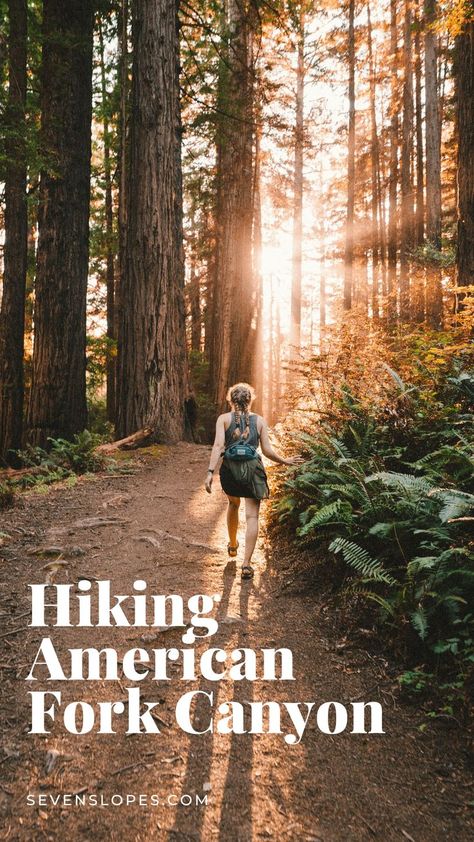 The text reads "Hiking American Fork Canyon", and a website link at the bottom to sevenslopes.com. The image shows a picture of a young woman hiking on a dirt trail through the forest with the sun setting in front of her. Deuteronomy 20 4, Tibble Fork Reservoir, American Fork Canyon, Utah Hiking, Utah Vacation, Northern Utah, Utah Hikes, Hiking Destinations, Take A Hike