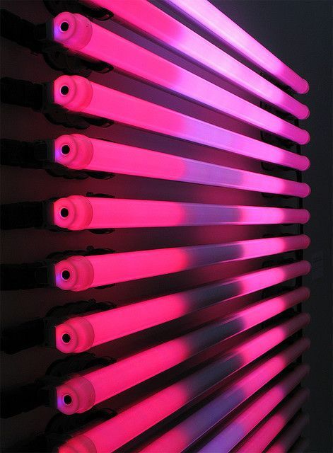 Wallpapers Rosa, Led Store, Neon Noir, Neon Rose, Catty Noir, Wallpaper Iphone Neon, All Of The Lights, Neon Nights, Neon Aesthetic