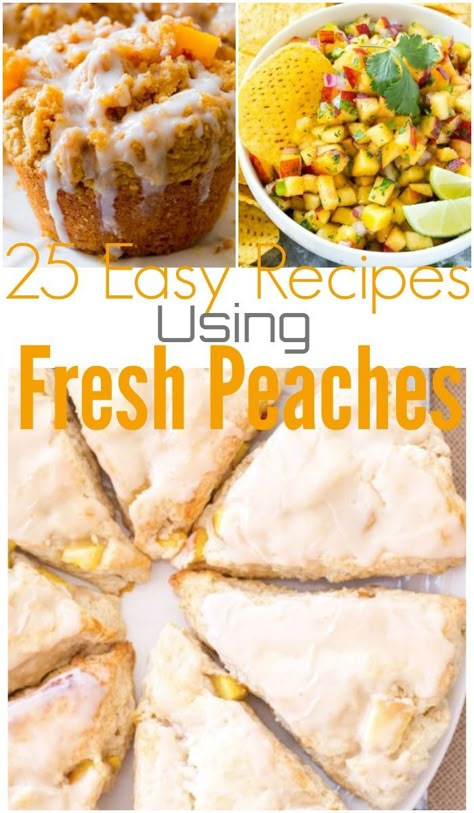 25 Easy Recipes using Fresh Peaches | How to use fresh Peaches | Fresh Peach Recipes | Peach recipes What Can I Do With Fresh Peaches, Peach Dishes Recipes, What To Do With Lots Of Peaches, Ww Peach Recipes, How To Use Up Peaches, Best Way To Freeze Peaches, Old Peaches What To Do With, Baking With Peaches, Simple Peach Dessert