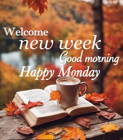 Happy Sweetest Day, Good Monday Morning, Good Morning Happy Saturday, Good Morning Happy Monday, Morning Memes, Manic Monday, Monday Humor, Good Morning Friends Images, Monday Quotes