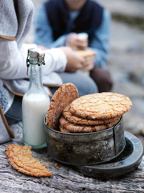 Malted Milk Sugar Cookies | Donna Hay Malted Milk Recipes, Malted Cookies, Malted Milk Cookies, Malt Cookies, Malted Milk Biscuits, Biscuits And Cookies, Skillet Cookie Recipe, Donna Hay Recipes, White Chocolate Recipes