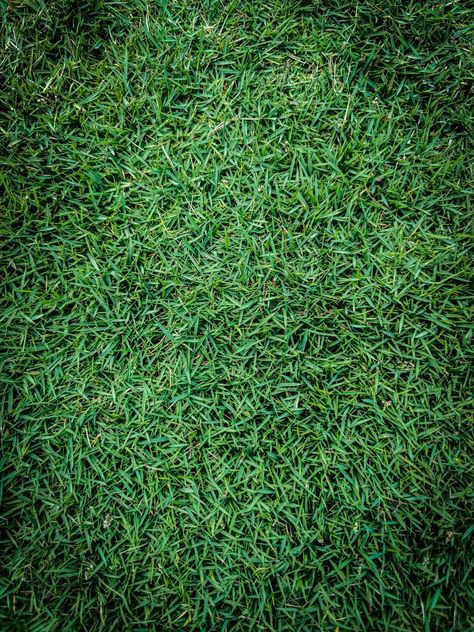 Green Grass Wallpaper Green Grass Wallpaper, Wet Grass Rug, Rug Wallpaper, Grass Rug, Grass Wallpaper, Green Grass, Wallpapers, Rug, Green