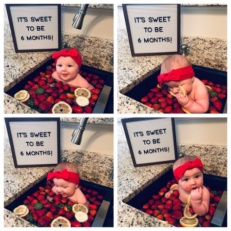 It’s sweet to be 6 months! 🍓🍋 ideas for baby in sink with fruit #6months #milestone #strawberry #lemon #sink Diy 7 Month Photoshoot, Watermelon Baby Pictures, Strawberry Half Birthday, Strawberry Baby Photo Shoot, 6 Month Baby Picture Ideas Half Birthday, Half Birthday Party, 6 Month Baby Picture Ideas, 2nd Birthday Photos, Month Ideas