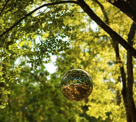 Disco Balls In Tree Wedding, Disco Ball In Garden, Sun Disco Ball, Garden Party Disco Ball, Disco Ball Outdoor, Goddess Party, Festival Themed Party, Winter Shoot, Reception Inspiration