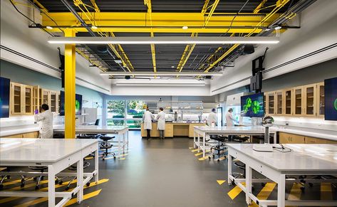 Laboratory Design, Science Labs, Fab Lab, Neo Pop, Stem Lab, Innovation Lab, Innovation Centre, Inquiry Based Learning, Lab Tech