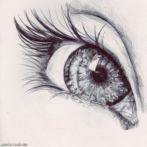 Hipster Drawings, Pencil Drawing Images, Eye Drawing Tutorials, Eye Sketch, 얼굴 그리기, Pencil Art Drawings, Drawing Images, Realistic Drawings, Eye Art