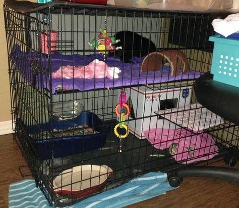 Dog kennel turned bunny rabbit mansion :) Use wire storage cubes to piece together a second level (tie with zip ties) and two of the cube pieces for steps to the second level. Rabbit Mansion, Dog Crate Rabbit Cage, Rabbit Cage Ideas, Diy Bunny Cage, Diy Guinea Pig Cage, Airline Pet Carrier, Ferret Cage, Diy Dog Kennel, Rat Cage