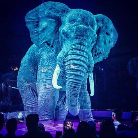 German Circus Uses Holograms Instead Of Live Animals For A Cruelty-Free Magical Experience | Bored Panda Hologram Projection, Circus Show, Circus Animals, Projection Screen, Live Animals, W Hotel, Komodo, Flesh And Blood, Light Art