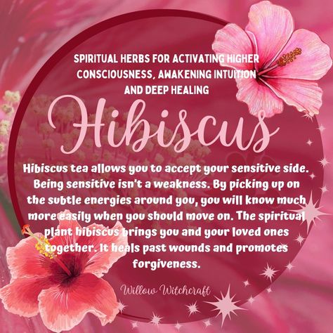 Hibiscus Willow Witchcraft Hibiscus Flower Witchcraft Uses, Hibiscus Flower Witchcraft, Magical Properties Of Hibiscus, Hibiscus Spiritual Benefits, Hibiscus Flower Magical Properties, Hibiscus Witchcraft, Hibiscus Spiritual Meaning, Hibiscus Magical Properties, Hibiscus Properties