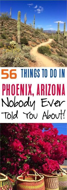 Top Things to do in Phoenix, Arizona! Top tips for visiting the desert city and nearby Arizona travel destinations only the locals know! #TravelDestinationsUsaCities #TravelDestinationsUsaFall #TravelDestinationsUsaSpring To Do In Phoenix Arizona, Arizona Travel Guide, Desert City, Arizona Adventure, Arizona City, Arizona Vacation, Arizona Road Trip, Arizona Hiking, Destinations Travel