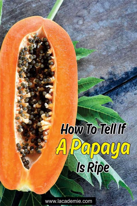 Ripeness Guide: How to Tell If a Papaya Is Ripe in 2024 Fruit Guide, Papaya Plant, Papaya Recipes, Ripe Papaya, Fruit Soup, Papaya Seeds, Papaya Fruit, Green Papaya, Papaya Fruits