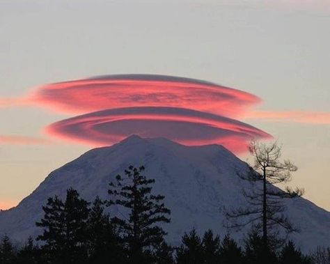 Lenticular clouds, technically known as altocumulus standing lenticularis, are stationary lens-shaped clouds that form at high altitudes, normally aligned at right-angles to the wind direction. Lenticular Clouds, Wow Photo, 달력 디자인, Mt Rainier, Pink Clouds, Naha, Natural Phenomena, Chiaroscuro, Alam Yang Indah