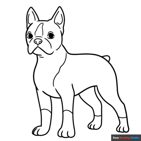 Free Boston Terrier Coloring Page for Kids Easy Drawing Guides, Dog Coloring Book, Free Printable Coloring Sheets, Drawing Guides, Dog Coloring Page, Coloring Sheets For Kids, Kids Print, Printable Coloring Sheets, Drawing Tutorial Easy