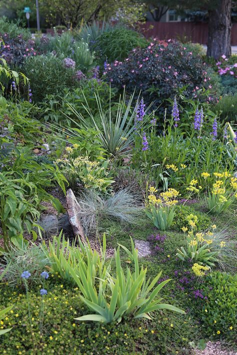 Landscaping Hill, Driveway Garden, Xeriscape Landscaping, Fine Gardening Magazine, Landscaping Around Trees, Waterwise Garden, Dry Garden, Gravel Garden, Fine Gardening