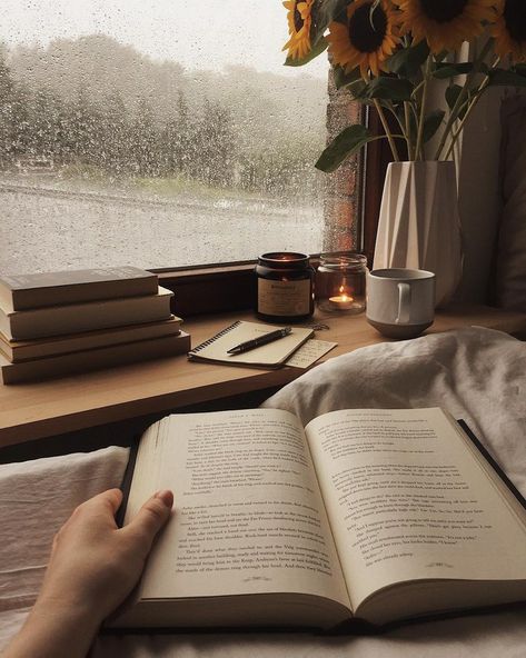 #books #reading #rain #read #fall #cozy #book #coffee #autumn  https://weheartit.com/entry/323292850 Foto Tips, Bookish Things, Cozy Aesthetic, Dark Academia Aesthetic, Beige Aesthetic, Academia Aesthetic, Coffee And Books, Brown Aesthetic, Autumn Aesthetic