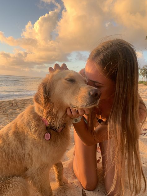 Golden Retriever Girl, Really Cute Dogs, Golden Retriever Puppy, Retriever Puppy, Cute Animal Photos, Summer Pictures, Beach Aesthetic, Animal Photo, Dog Mom