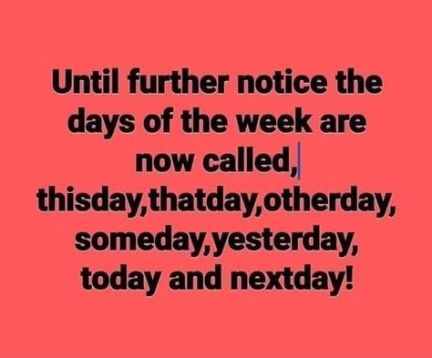 Funny Thought Of The Day, Funny Names, Funny Thoughts, Days Of The Week, Twisted Humor, Thought Of The Day, Sarcastic Quotes, Funny Signs, Bones Funny